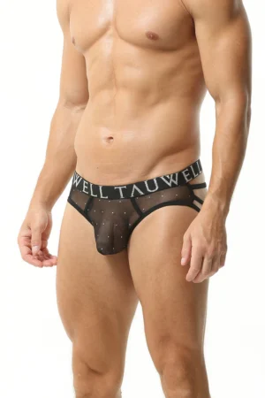 Sexy Mesh String Briefs - Image 7