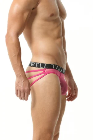 Sexy Mesh String Briefs - Image 12