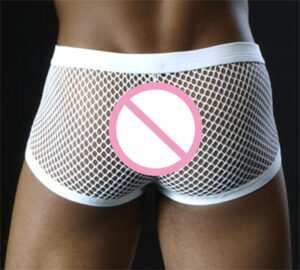 Black White Sexy Mens Boxers Shorts Transparent Mesh See Through Erotic Underpants Low Rise Man Sex Underwear Lingerie Trunk - Image 2