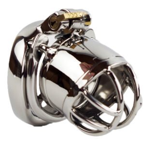 Stainless Steel Chastity Device - Image 3