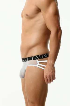 Sexy Mesh String Briefs - Image 5