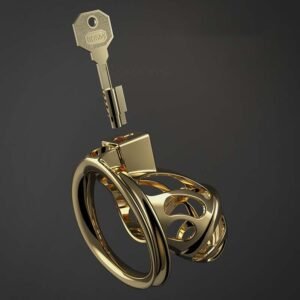 Male Fashion Metal Chastity Lock Toy - Image 2