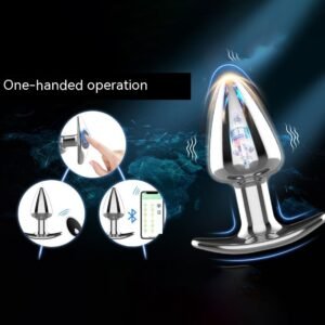 Metal Butt Plug &  Prostate Toys Vibrators