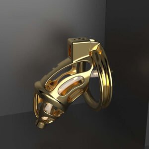 Male Fashion Metal Chastity Lock Toy