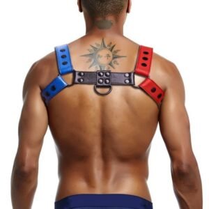 High Quality Leather Chest Harnesses & Restraints, Gags & Hoods - Image 4