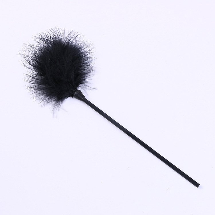Supplies Feather Stick Toys