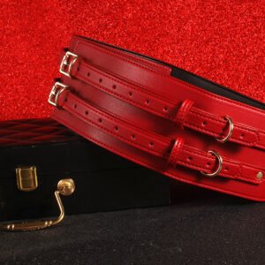 Temperament Bondage Restraint - Arm or Leg - Image 3