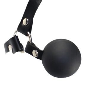 Leather PVC Head-mounted Ball Gag Couple Toys - Image 7