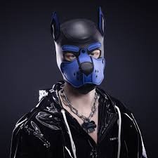 Dog Headgear
